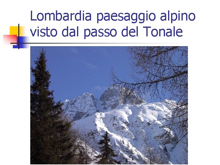 Lombardia paesaggio alpino visto dal passo del Tonale 