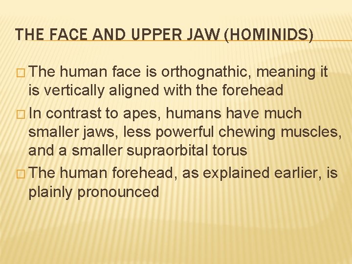 THE FACE AND UPPER JAW (HOMINIDS) � The human face is orthognathic, meaning it