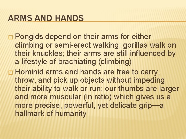 ARMS AND HANDS � Pongids depend on their arms for either climbing or semi-erect
