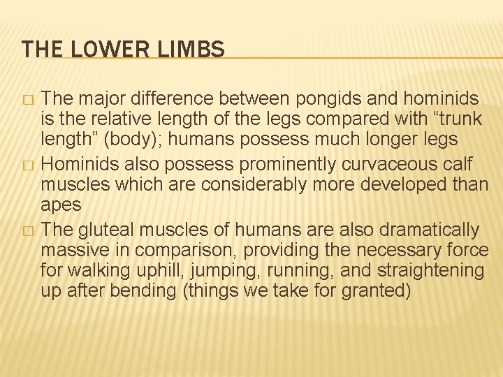 THE LOWER LIMBS The major difference between pongids and hominids is the relative length