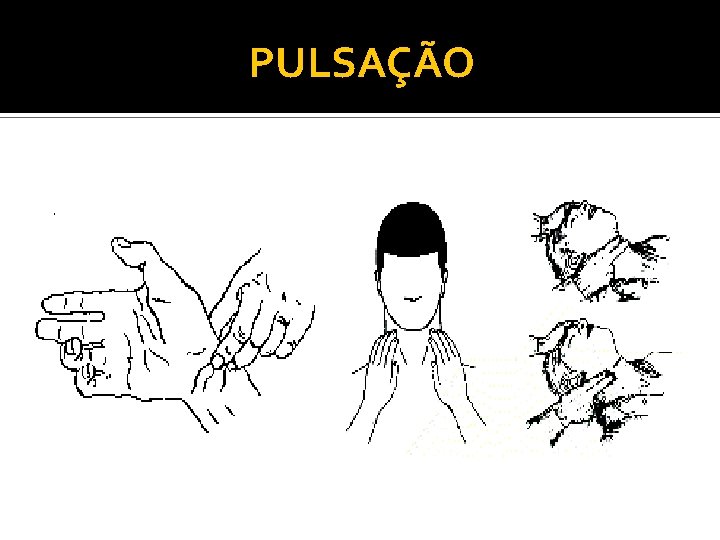 PULSAÇÃO 