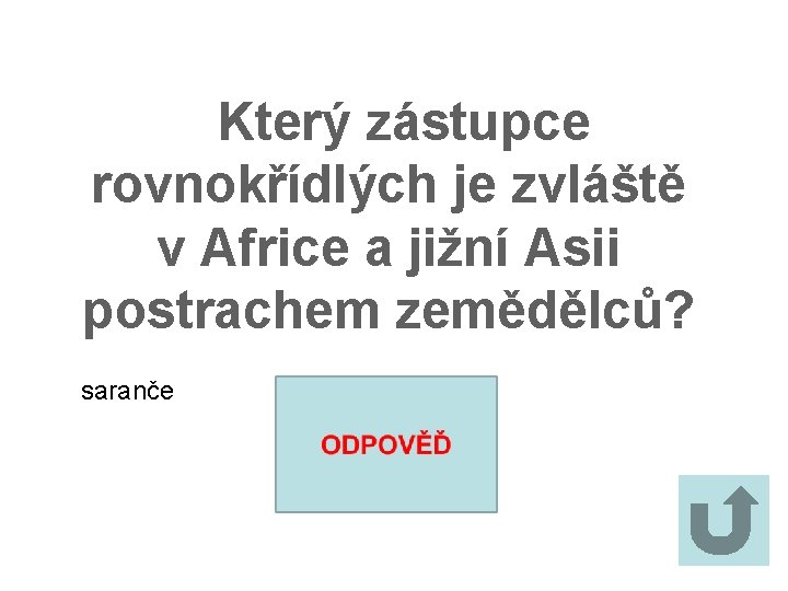 Který zástupce rovnokřídlých je zvláště v Africe a jižní Asii postrachem zemědělců? saranče 