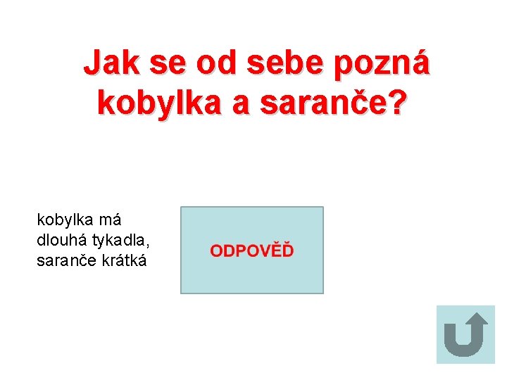 Jak se od sebe pozná kobylka a saranče? kobylka má dlouhá tykadla, saranče krátká