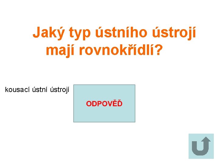 Jaký typ ústního ústrojí mají rovnokřídlí? kousací ústní ústrojí 