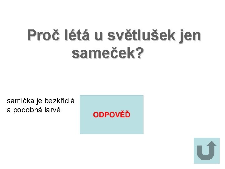 Proč létá u světlušek jen sameček? samička je bezkřídlá a podobná larvě 