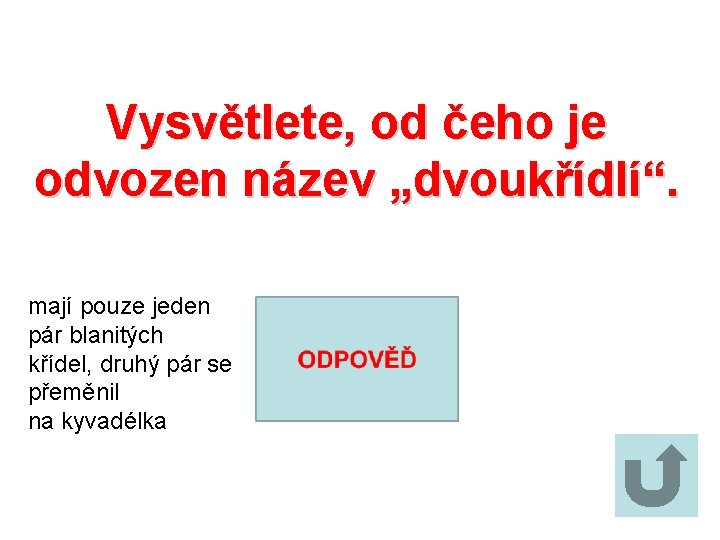 Vysvětlete, od čeho je odvozen název „dvoukřídlí“. mají pouze jeden pár blanitých křídel, druhý