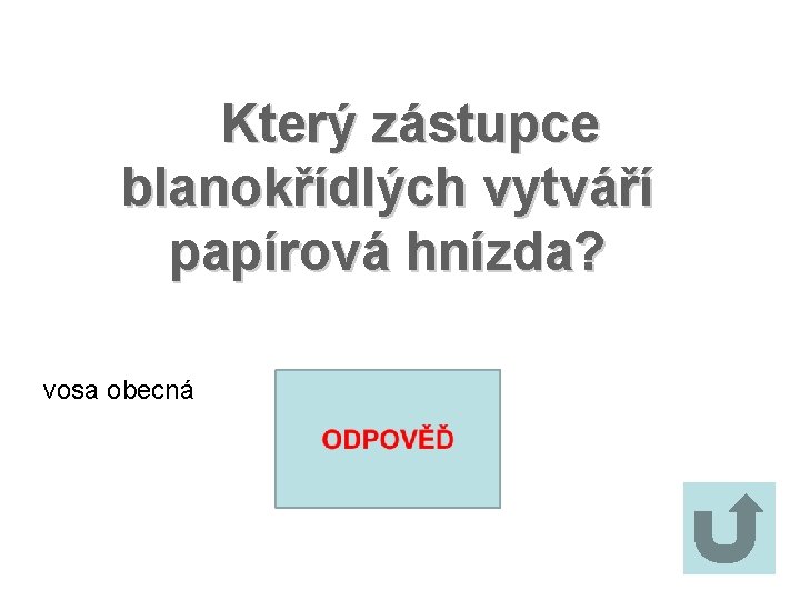 Který zástupce blanokřídlých vytváří papírová hnízda? vosa obecná 