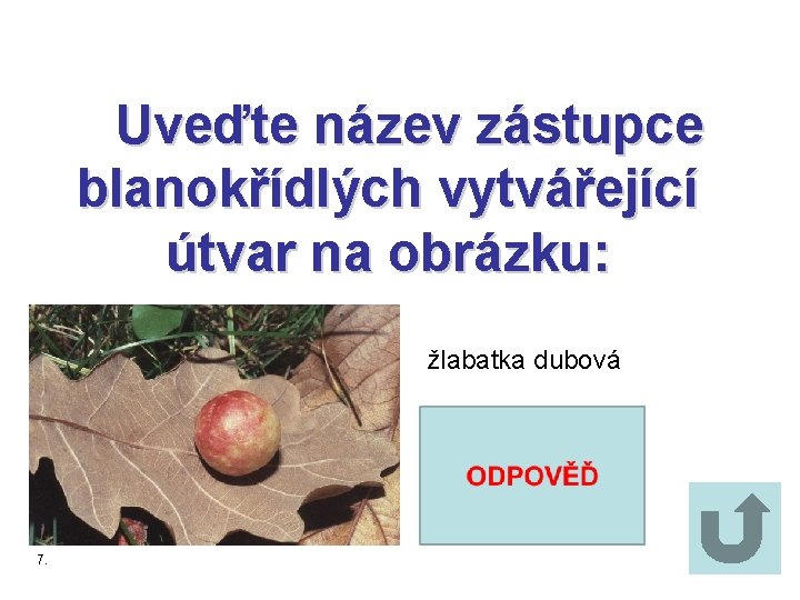 Uveďte název zástupce blanokřídlých vytvářející útvar na obrázku: žlabatka dubová 7. 