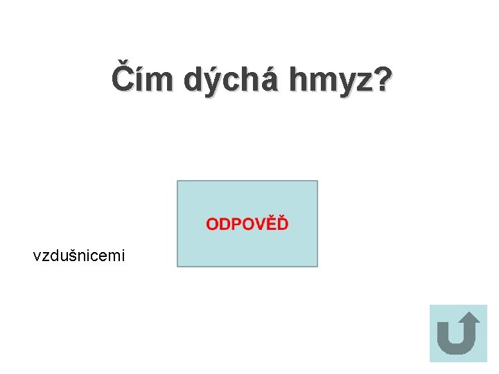 Čím dýchá hmyz? vzdušnicemi 