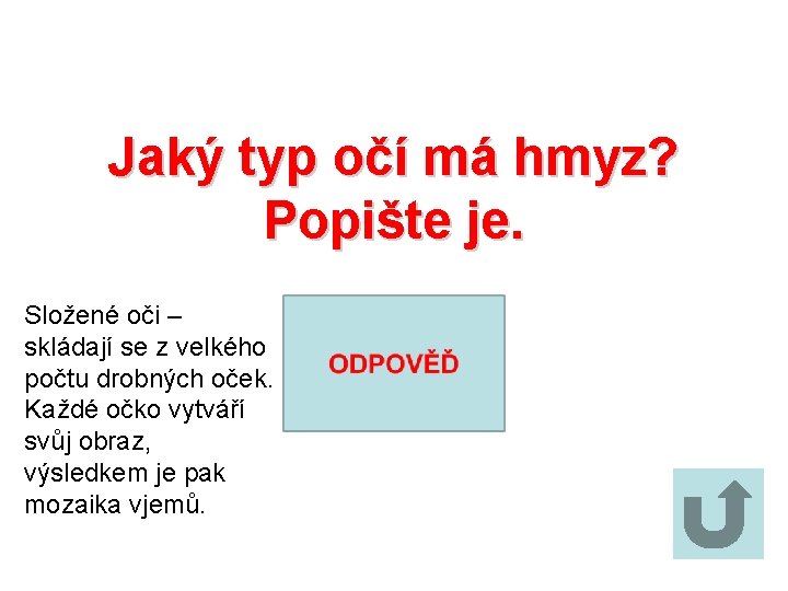 Jaký typ očí má hmyz? Popište je. Složené oči – skládají se z velkého