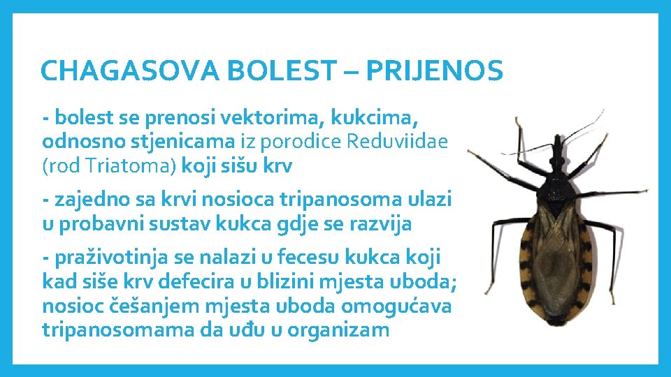 CHAGASOVA BOLEST – PRIJENOS - bolest se prenosi vektorima, kukcima, odnosno stjenicama iz porodice