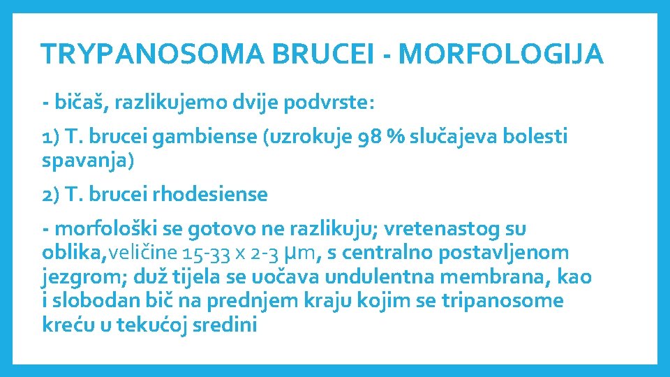 TRYPANOSOMA BRUCEI - MORFOLOGIJA - bičaš, razlikujemo dvije podvrste: 1) T. brucei gambiense (uzrokuje