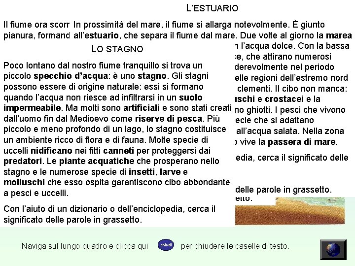 IL FIUME L’ESTUARIO IL LAGO IL FIUMICELLO L’ACQUA Il fiume ora scorre tranquillamente attraverso