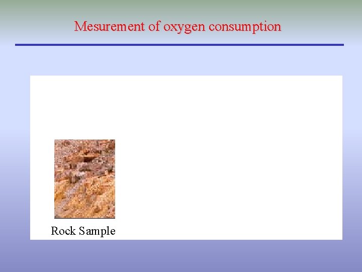 Mesurement of oxygen consumption Rock Sample 