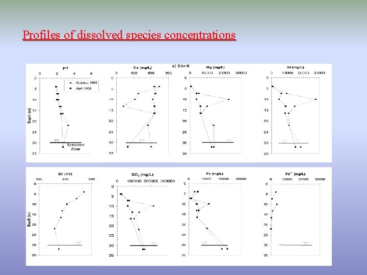 Profiles of dissolved species concentrations 