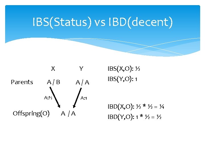 IBS(Status) vs IBD(decent) Parents X Y IBS(X, O): ½ A/B A/A IBS(Y, O): 1