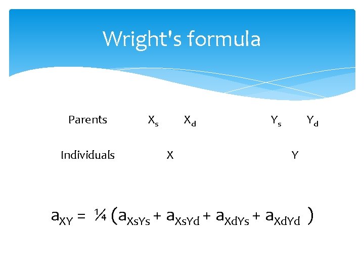 Wright's formula Parents Individuals Xs Xd X Ys Yd Y a. XY = ¼
