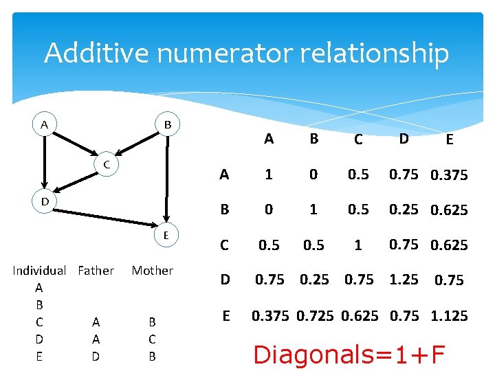 Additive numerator relationship A B C D E Individual Father A B C A
