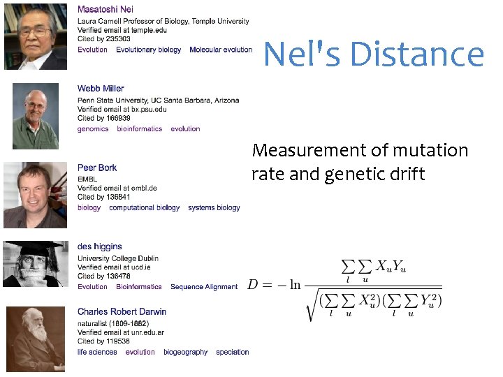Nel's Distance Measurement of mutation rate and genetic drift 