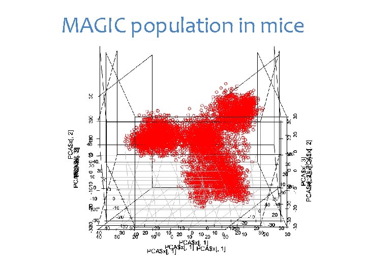 MAGIC population in mice 