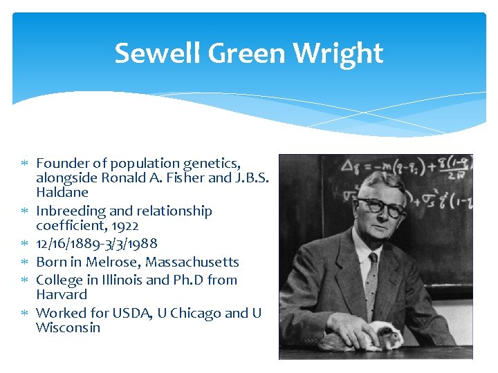 Sewell Green Wright Founder of population genetics, alongside Ronald A. Fisher and J. B.