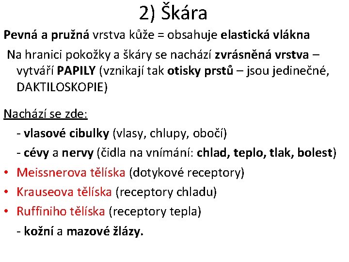 2) Škára Pevná a pružná vrstva kůže = obsahuje elastická vlákna Na hranici pokožky 2) Škára Pevná a pružná vrstva kůže = obsahuje elastická vlákna Na hranici pokožky