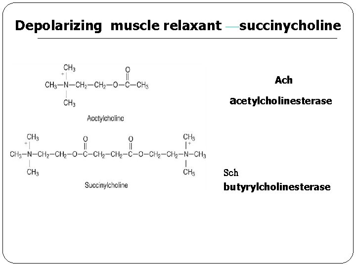 Depolarizing muscle relaxant —succinycholine 　　　　 Ach acetylcholinesterase Sch butyrylcholinesterase　 