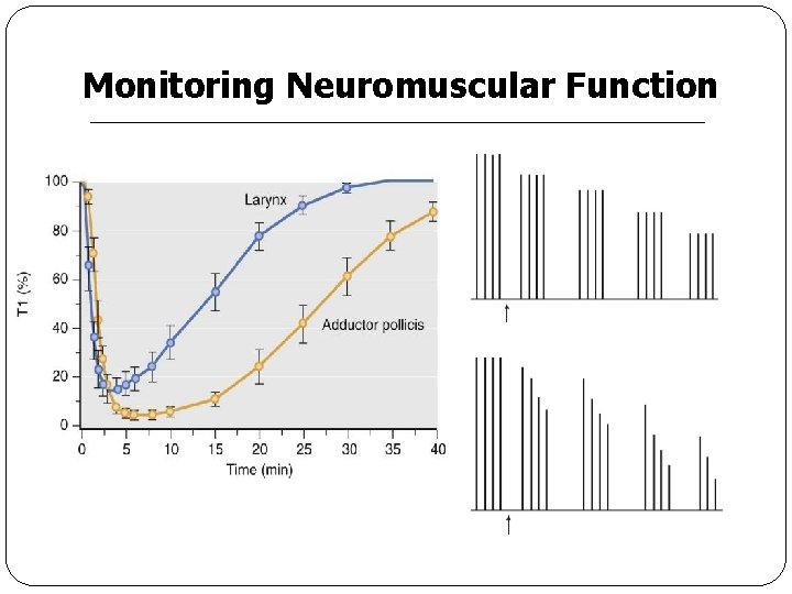 Monitoring Neuromuscular Function 