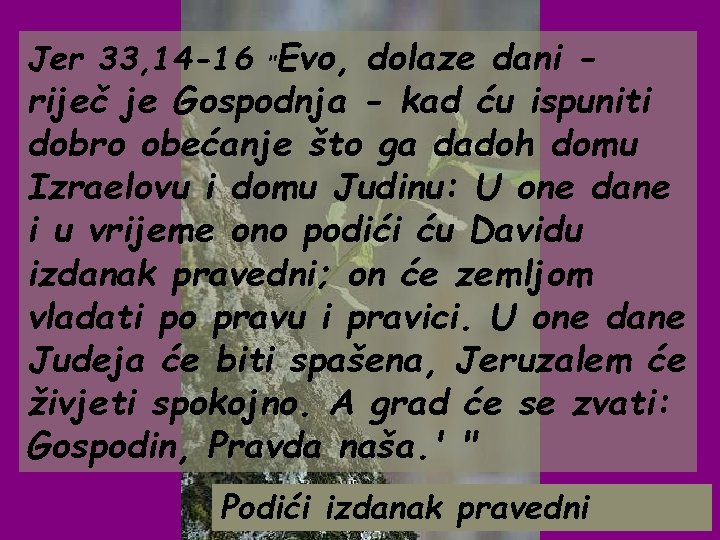 Jer 33, 14 -16 "Evo, dolaze dani - riječ je Gospodnja - kad ću