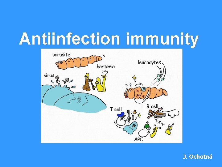 Antiinfection immunity J. Ochotná 