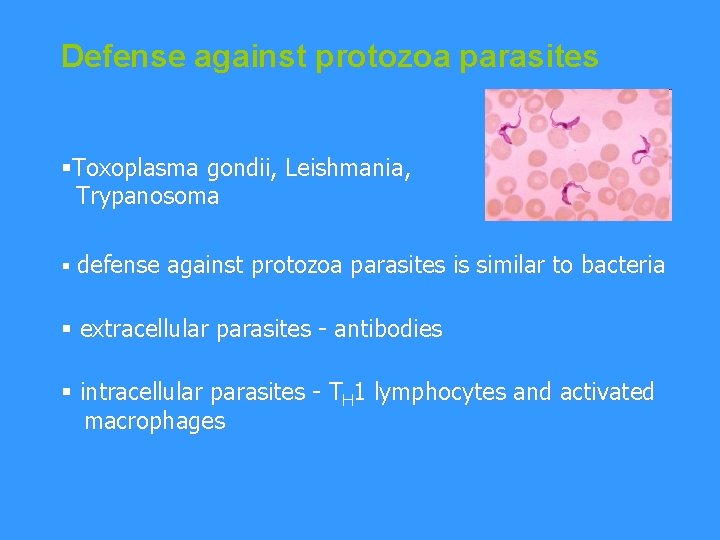 Defense against protozoa parasites §Toxoplasma gondii, Leishmania, Trypanosoma § defense against protozoa parasites is