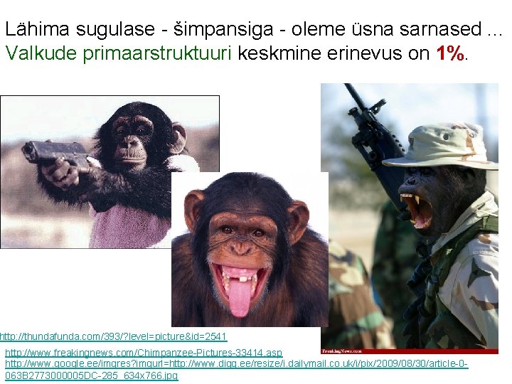 Lähima sugulase - šimpansiga - oleme üsna sarnased. . . Valkude primaarstruktuuri keskmine erinevus