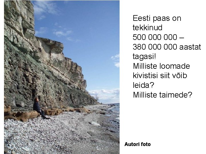 Eesti paas on tekkinud 500 000 – 380 000 aastat tagasi! Milliste loomade kivistisi