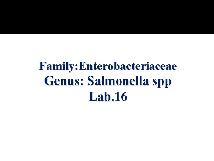 Family: Enterobacteriaceae Genus: Salmonella spp Lab. 16 