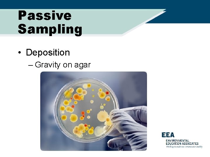 Passive Sampling • Deposition – Gravity on agar 