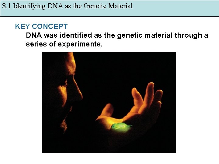 8. 1 Identifying DNA as the Genetic Material KEY CONCEPT DNA was identified as