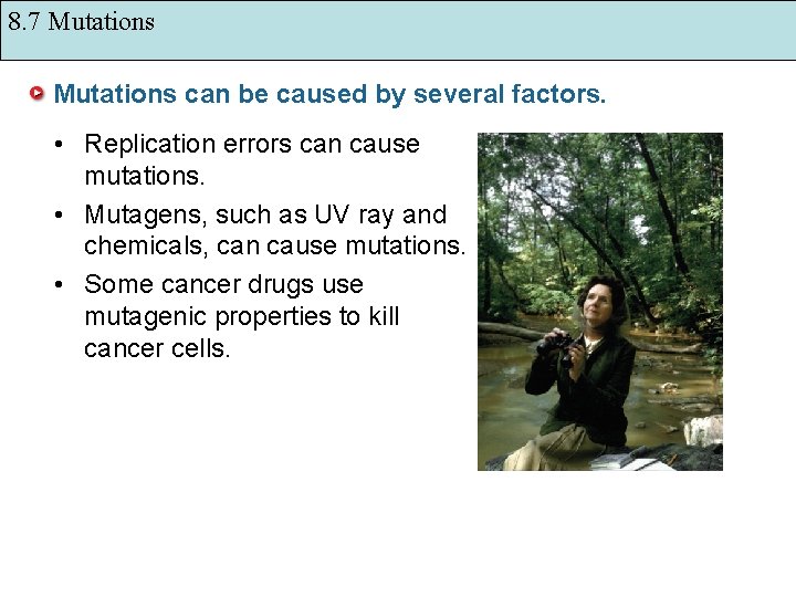 8. 7 Mutations can be caused by several factors. • Replication errors can cause