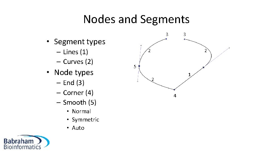 Nodes and Segments 3 • Segment types – Lines (1) – Curves (2) •