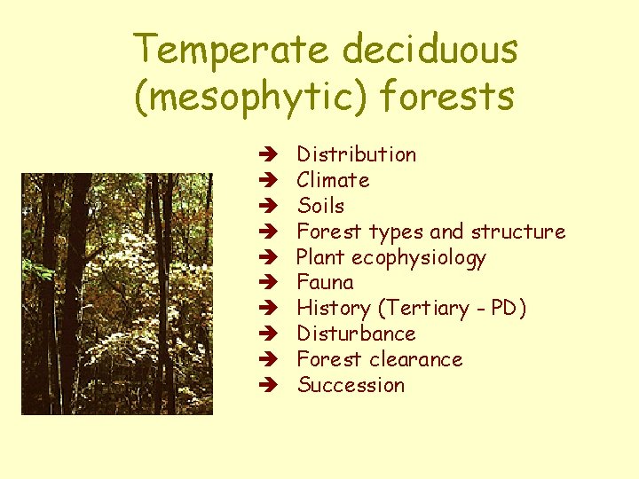 Temperate deciduous (mesophytic) forests è è è è è Distribution Climate Soils Forest types