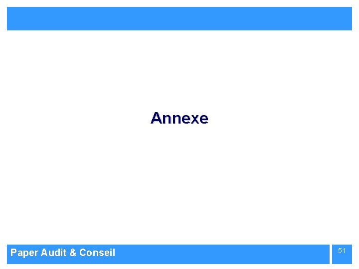 Annexe Paper Audit & Conseil 51 