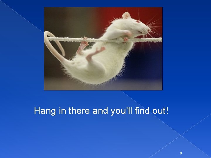 Hang in there and you’ll find out! 9 