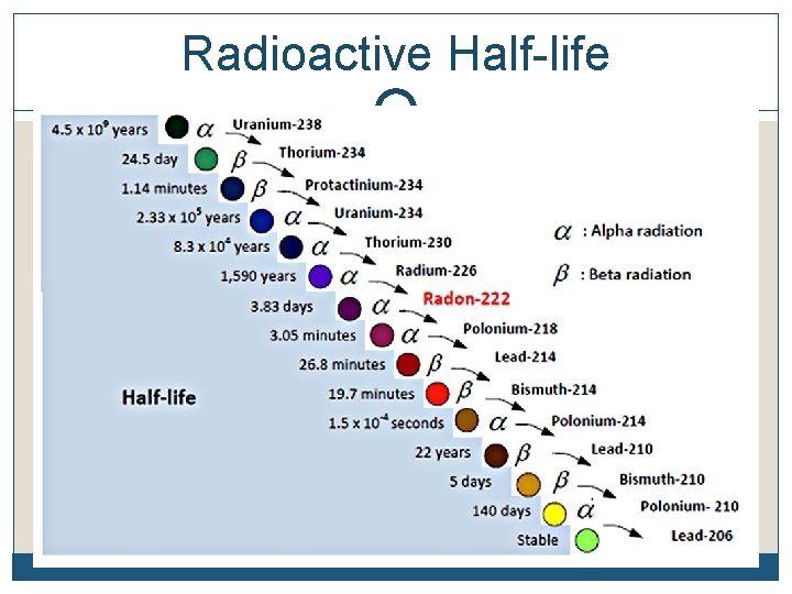 Radioactive Half-life 
