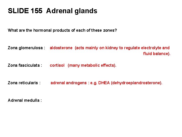 SLIDE 155 Adrenal glands What are the hormonal products of each of these zones?