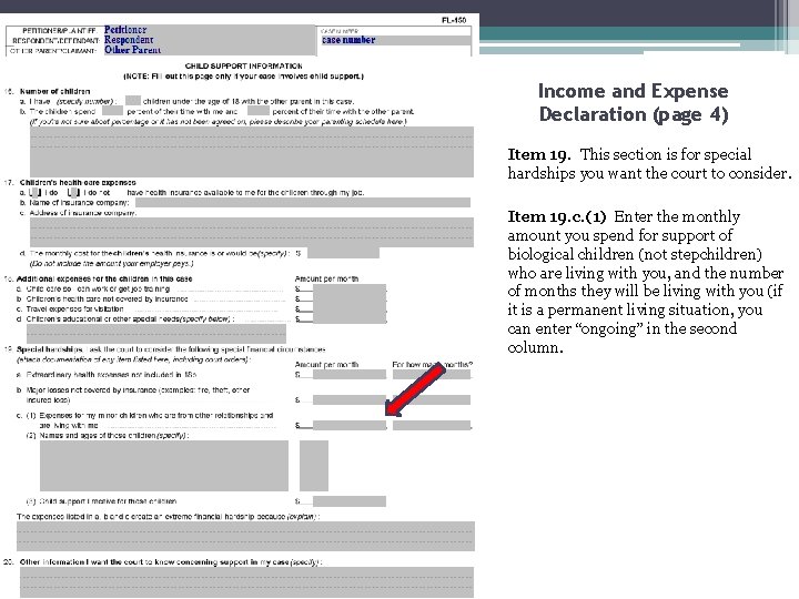 Income and Expense Declaration (page 4) Item 19. This section is for special hardships