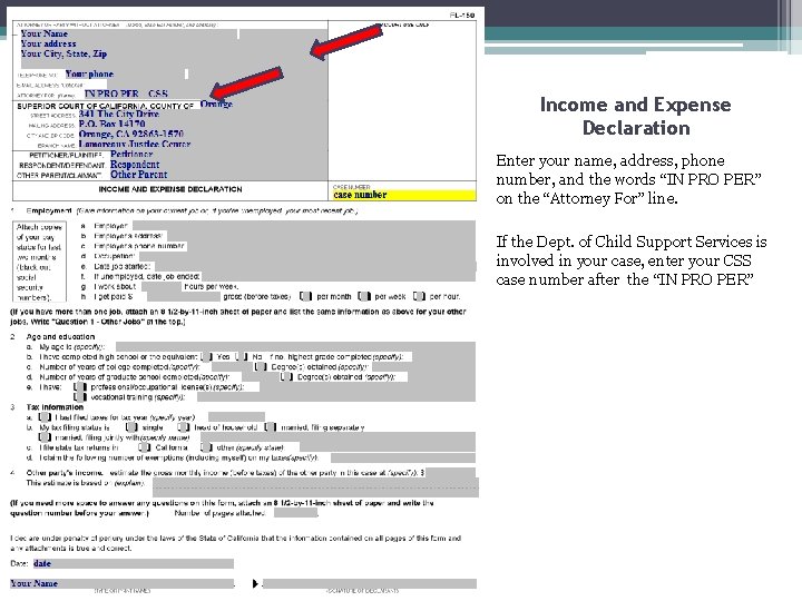 Income and Expense Declaration Enter your name, address, phone number, and the words “IN