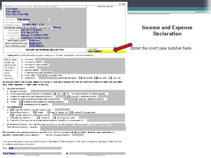 Income and Expense Declaration Enter the court case number here. 