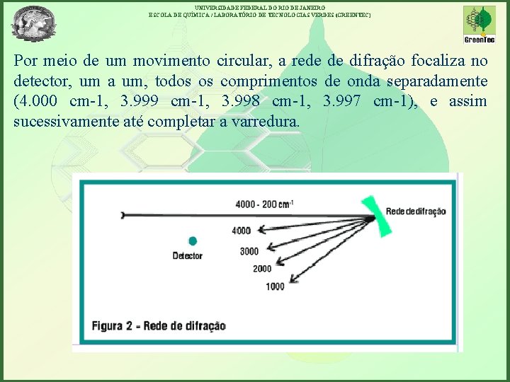 UNIVERSIDADE FEDERAL DO RIO DE JANEIRO ESCOLA DE QUÍMICA / LABORATÓRIO DE TECNOLOGIAS VERDES