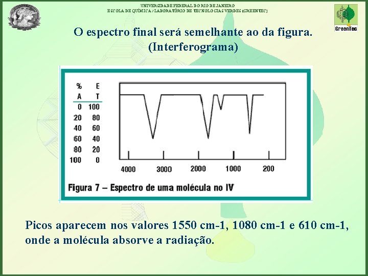 UNIVERSIDADE FEDERAL DO RIO DE JANEIRO ESCOLA DE QUÍMICA / LABORATÓRIO DE TECNOLOGIAS VERDES