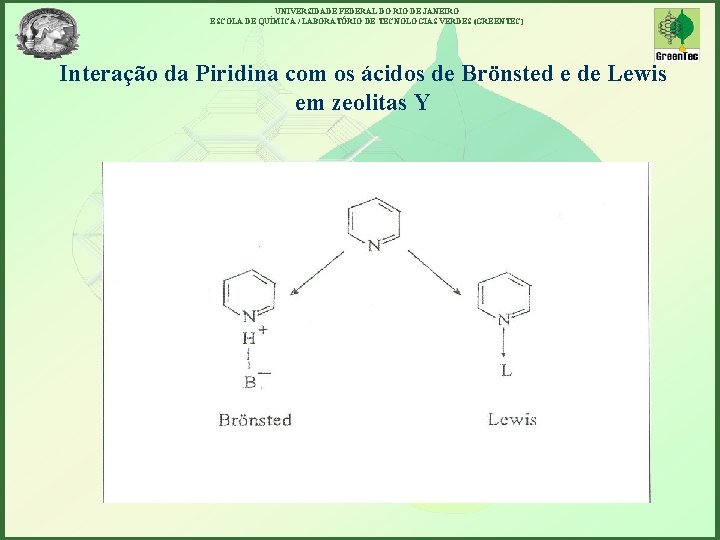 UNIVERSIDADE FEDERAL DO RIO DE JANEIRO ESCOLA DE QUÍMICA / LABORATÓRIO DE TECNOLOGIAS VERDES