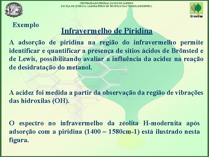 UNIVERSIDADE FEDERAL DO RIO DE JANEIRO ESCOLA DE QUÍMICA / LABORATÓRIO DE TECNOLOGIAS VERDES